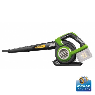 Аккумуляторный пылесос-воздуходувка Procraft VB20 (без акб и зп) Аккумуляторный пылесос-воздуходувка Procraft VB20 (без акб и зп)