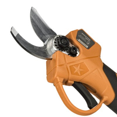 Акумуляторний секатор Техас TAOE-PS25